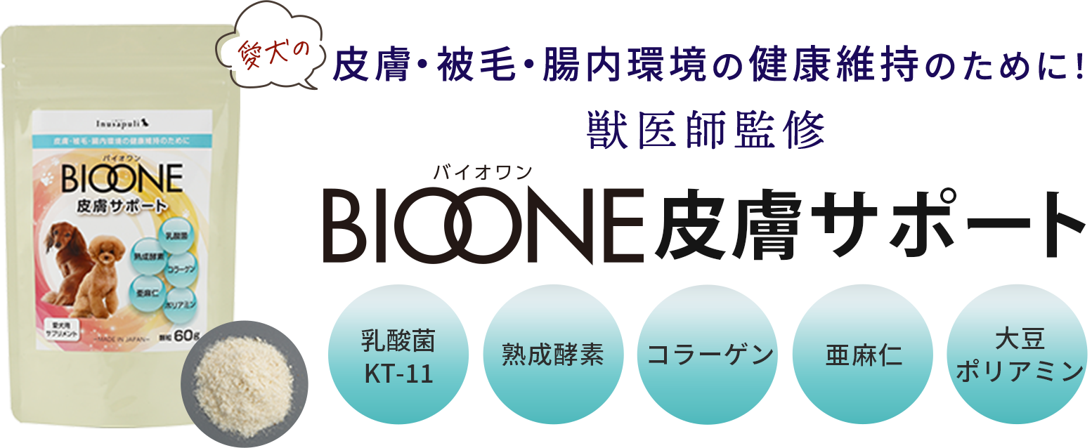 愛犬の皮膚・被毛・腸内環境の健康維持のために！獣医師監修 BIOONE皮膚サポート