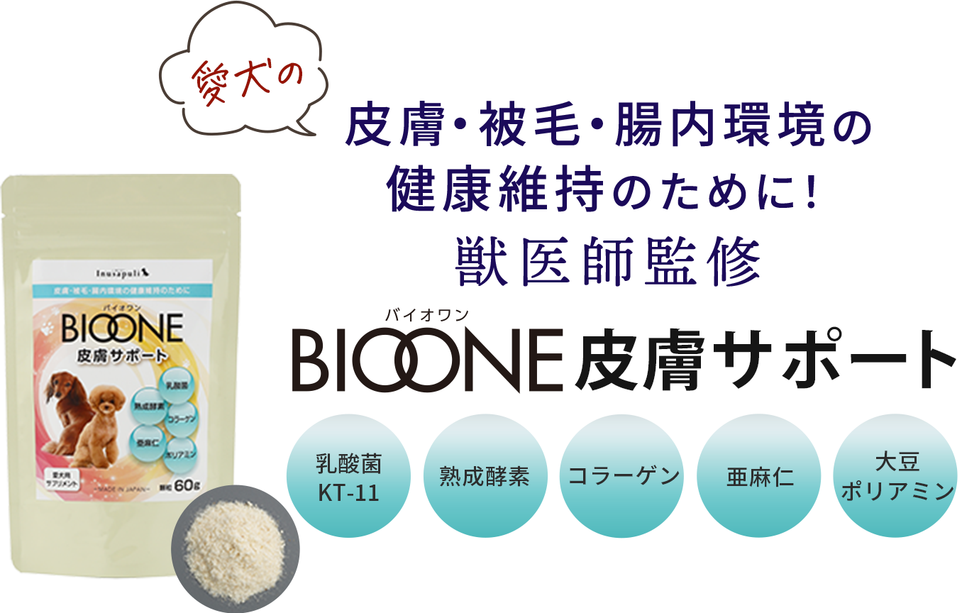 愛犬の皮膚・被毛・腸内環境の健康維持のために！獣医師監修 BIOONE皮膚サポート