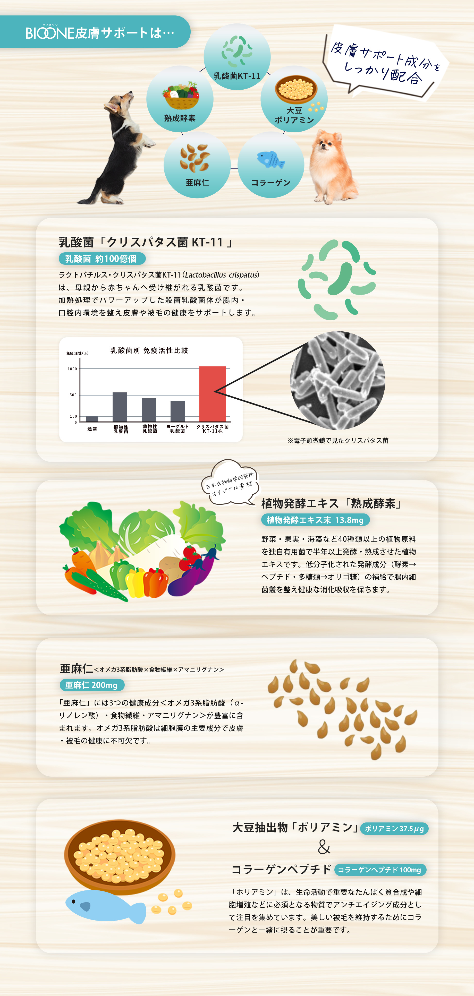 BIOONE皮膚サポートは「乳酸菌KT-11」「熟成酵素」「亜麻仁」「コラーゲン」「大豆ポリミアン」皮膚サポート成分をしっかり配合