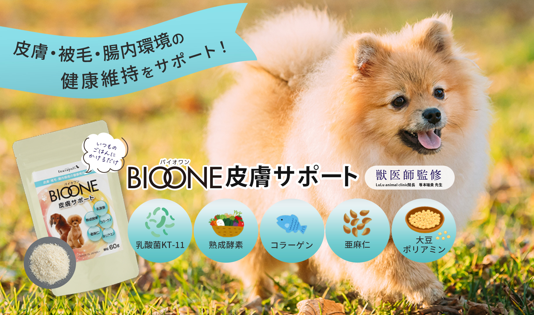 皮膚・被毛・腸内環境の健康維持をサポート！BIOONE皮膚サポート