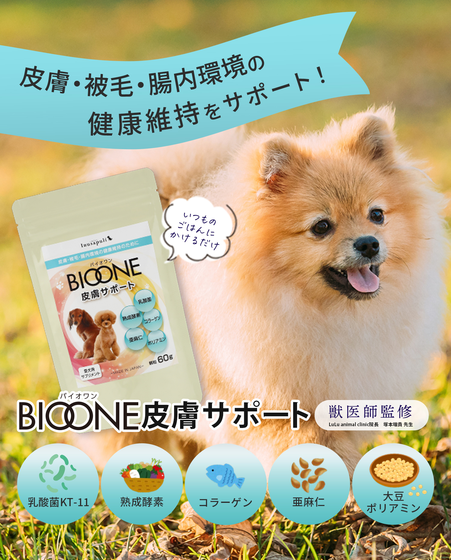 皮膚・被毛・腸内環境の健康維持をサポート！BIOONE皮膚サポート