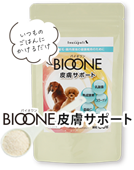 BIOONE皮膚サポート