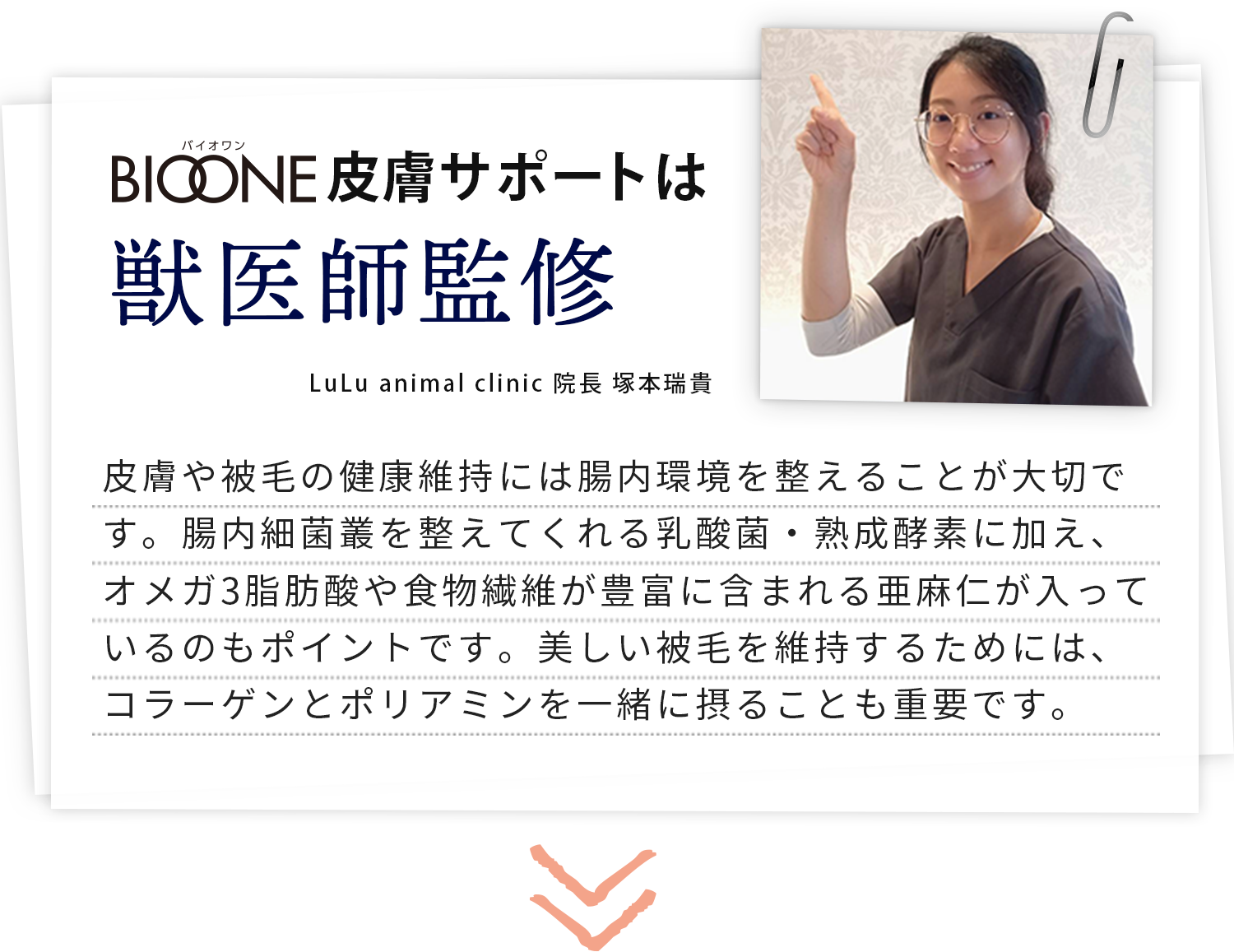 BIOONE皮膚サポートは獣医師監修